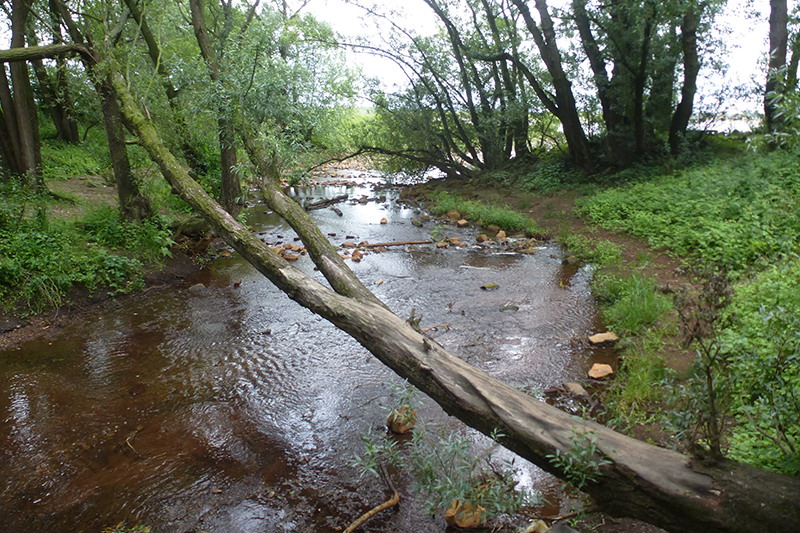 Duisburg-Walsum – Drei Mündungen und eine Aue